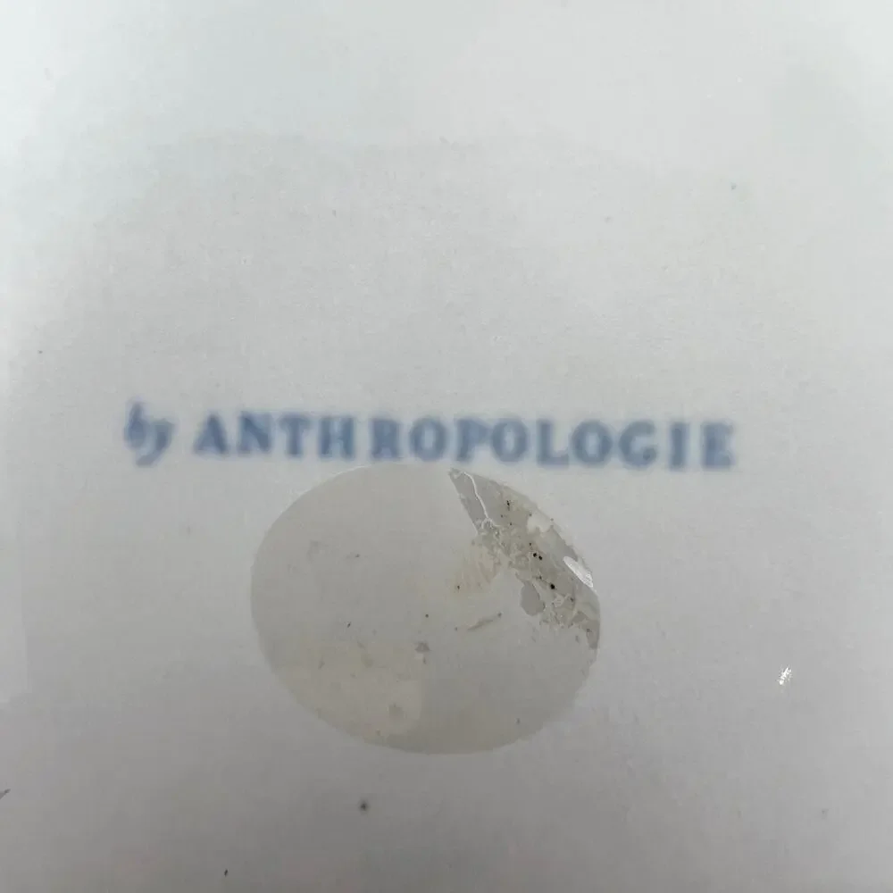 Anthropologie Ginny Blue Bloom 11